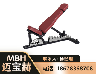 宁波可调哑铃椅